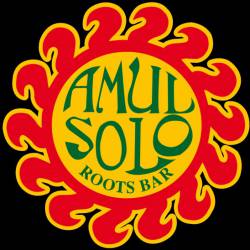 photo of Amul Solo